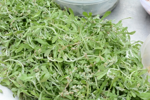 Bánh khúc làng Diềm - Đặc sản nổi tiếng vùng Kinh Bắc ảnh 1